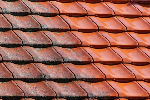 Roof Cleaning & Coating East Sussex & Kent