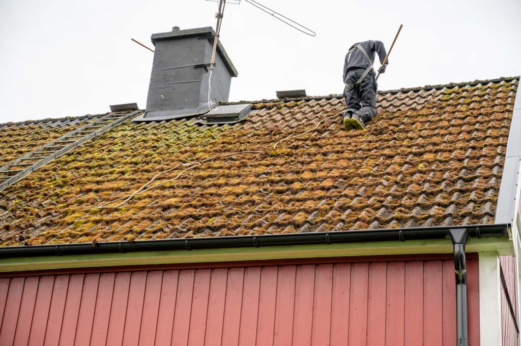 Roof moss removal services East Sussex & Kent